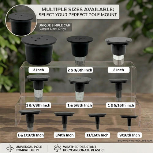 BirdHaus Pro Mount